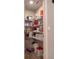 Spacious pantry with wire shelving for storage at 3882 Willow Ridge Dr, Lakeland, FL 33810
