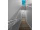 Carpeted staircase leading to an entryway with a door and window at 2323 Arbor Lakes Cir # 2323, Sanford, FL 32771