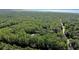 Aerial view showing home, outbuildings and surrounding nature at 1205 Sutton Trl, Geneva, FL 32732
