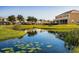 Aerial view of community with lake, lush landscaping, and townhomes at 17401 Serenidad Blvd, Clermont, FL 34714