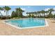 Community swimming pool with surrounding lounge chairs and palm trees at 475 Windsor Pl, Davenport, FL 33896