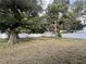 Large backyard with a storage shed and mature trees at 7609 Rose Ave, Orlando, FL 32810