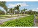 Landscaped road with palm trees and lush greenery at 2132 Antilles Club Dr, Kissimmee, FL 34747
