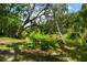 Serene creek running through a wooded area adjacent to the property at 1406 S Hoagland Blvd, Kissimmee, FL 34746