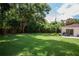 Expansive backyard with mature trees and a large grassy area at 11130 Park Ave, Windermere, FL 34786