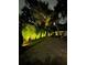 Landscaped side yard with bamboo and lighting at night at 11130 Park Ave, Windermere, FL 34786