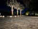 Elegant paved driveway with palm trees and lighting at 11130 Park Ave, Windermere, FL 34786