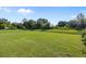 Large grassy backyard, perfect for outdoor activities at 656 Koala Ct, Kissimmee, FL 34759