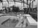 Refreshing pool with floats and a spa area at 511 Pineloch Dr, Haines City, FL 33844