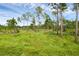 Wooded lot with cleared areas, perfect for building at 30808 Apricot Ave, Eustis, FL 32736