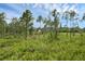 Private lot surrounded by lush vegetation and mature trees at 30808 Apricot Ave, Eustis, FL 32736