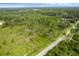 Buildable lot with road access and mature trees at 30808 Apricot Ave, Eustis, FL 32736
