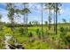 Serene lot with a tranquil waterway running through it at 30808 Apricot Ave, Eustis, FL 32736