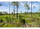 Wooded lot with open areas, ready for your new home at 30808 Apricot Ave, Eustis, FL 32736