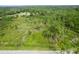 Large lot with road access and surrounding forest at 30808 Apricot Ave, Eustis, FL 32736