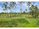 Spacious lot with sunny, open areas and mature trees at 30808 Apricot Ave, Eustis, FL 32736