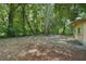 Spacious backyard surrounded by lush greenery at 4105 S Nashville Ave, Orlando, FL 32839