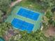 Two blue tennis courts surrounded by lush green landscaping at 411 Palo Verde Dr, Leesburg, FL 34748