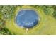 Aerial view of a circular pond with a small dock at 12151 Walker Pond Rd, Winter Garden, FL 34787