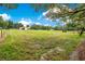 Horses and donkey in a grassy pasture, barn in the distance at 12151 Walker Pond Rd, Winter Garden, FL 34787