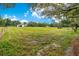 Open pasture with horses and a donkey grazing, near a barn at 12151 Walker Pond Rd, Winter Garden, FL 34787