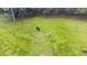 Aerial view of horses and a donkey grazing in a grassy pasture at 12151 Walker Pond Rd, Winter Garden, FL 34787