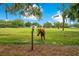 Horses grazing in a spacious pasture with trees in background at 12151 Walker Pond Rd, Winter Garden, FL 34787
