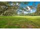 Sandhill crane in a lush pasture with oak trees at 12151 Walker Pond Rd, Winter Garden, FL 34787