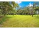 Expansive pasture with oak trees and Spanish moss at 12151 Walker Pond Rd, Winter Garden, FL 34787
