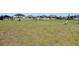 Spacious dog park with ample room for pets to play at 209 Sofia Ln, Lake Alfred, FL 33850