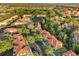 Aerial view of community and homes at 1121 Park Ridge Cir, Kissimmee, FL 34746