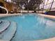 Refreshing pool with steps and a spacious screened enclosure at 531 Soft Shadow Ln, Debary, FL 32713