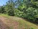 Fenced backyard with natural landscape at 3402 Sagebrush St, Harmony, FL 34773