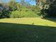 Spacious backyard with grassy area, providing ample outdoor space at 830 Wooden Blvd, Orlando, FL 32805