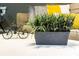 Stylish coffee table with artificial plant and decorative bicycle at 3211 Gold Ln, Kissimmee, FL 34747