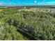 Aerial view of a home near a tranquil lake, showcasing a private dock at 16486 Blooming Cherry Dr, Groveland, FL 34736