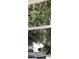House exterior partially obscured by trees at 17279 Peggy Ave, Mount Dora, FL 32757