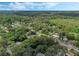 Aerial view showcasing the neighborhood's lush tree coverage at 233 S 4Th St, Lake Mary, FL 32746