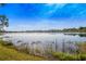 Scenic lake view with lush greenery at 2857 Atherton Dr, Orlando, FL 32824