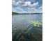 Lily pads on calm lake water at 207 Robin Rd, Altamonte Springs, FL 32701