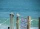 Oceanfront view with birds perched on wooden posts at 3700 S Atlantic Ave # 407, New Smyrna Beach, FL 32169