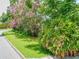 Landscaped corner lot with flowering plants and a manicured lawn at 1129 Crestview Ave, Lakeland, FL 33805
