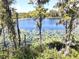 Stunning lake view abundant with lily pads and cypress trees at 17930 Adrift Rd, Winter Garden, FL 34787