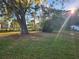 Spacious backyard with large oak tree and lush grass at 11520 Churchill St, Orlando, FL 32817