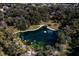 Aerial view showcasing the property's surrounding natural beauty at 201 Weeping Elm Ln, Longwood, FL 32779