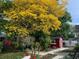 Large backyard with mature trees and storage sheds at 331 Douglas Dr, Eustis, FL 32726