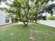 Backyard with lush greenery and a large tree at 7817 Satsuma Ct, Orlando, FL 32835