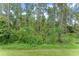Wooded vacant lot ready for your dream home at 2864 Sanctuary Dr, Clermont, FL 34714