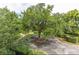 Circular driveway surrounded by lush landscaping and a large oak tree at 700 Melrose Ave J 1 Ave # J1, Winter Park, FL 32789