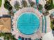 Large lap pool surrounded by palm trees and lounge chairs at 1410 Wexford Way, Davenport, FL 33896